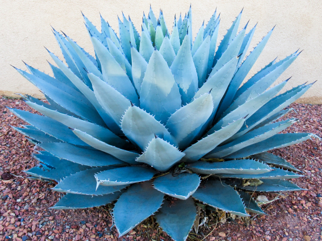 Enjoy all of our candles from all of our collections