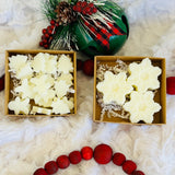 Winter Wax Melts